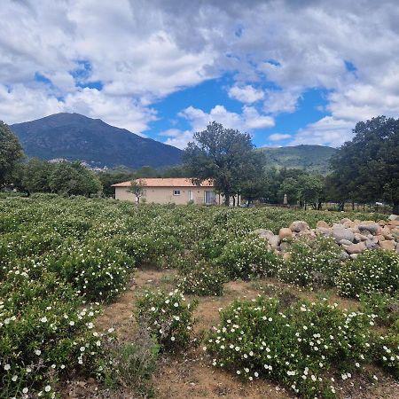 فيلا Domaine U Filanciu - Casa Chiara - Centru Di Corsica Moltifao المظهر الخارجي الصورة