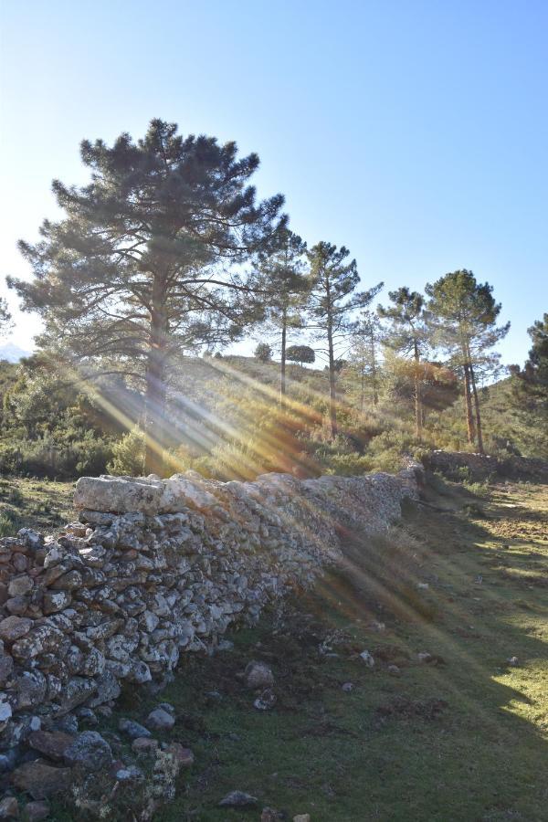 فيلا Domaine U Filanciu - Casa Chiara - Centru Di Corsica Moltifao المظهر الخارجي الصورة
